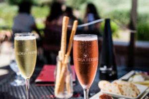 尤文图斯球员勇敢冲锋：黑白战袍下的无畏与荣耀