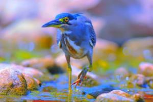 RB莱比锡失利不敢怠慢，处处谨慎