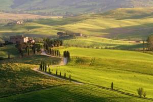 山东鲁能主场大胜，斩获三连胜实力再现