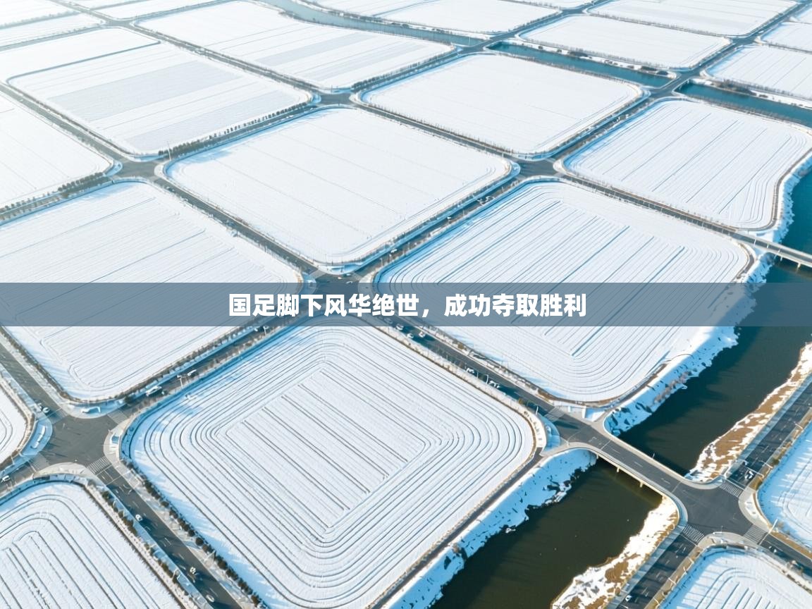 国足脚下风华绝世,成功夺取胜利 第2张